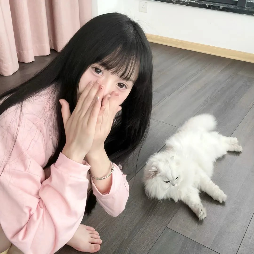 追梦小海豚