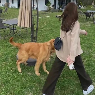 莱尔·艾布纳